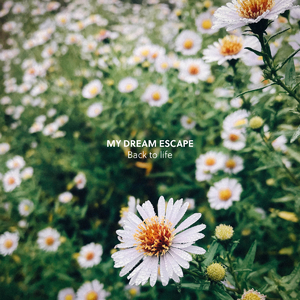 特黄一级碟片夫妻性生活
