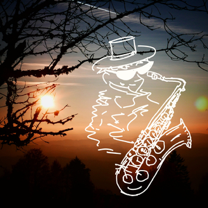 特黄一级碟片夫妻性生活
